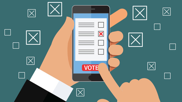 Could we be voting online in 2022?