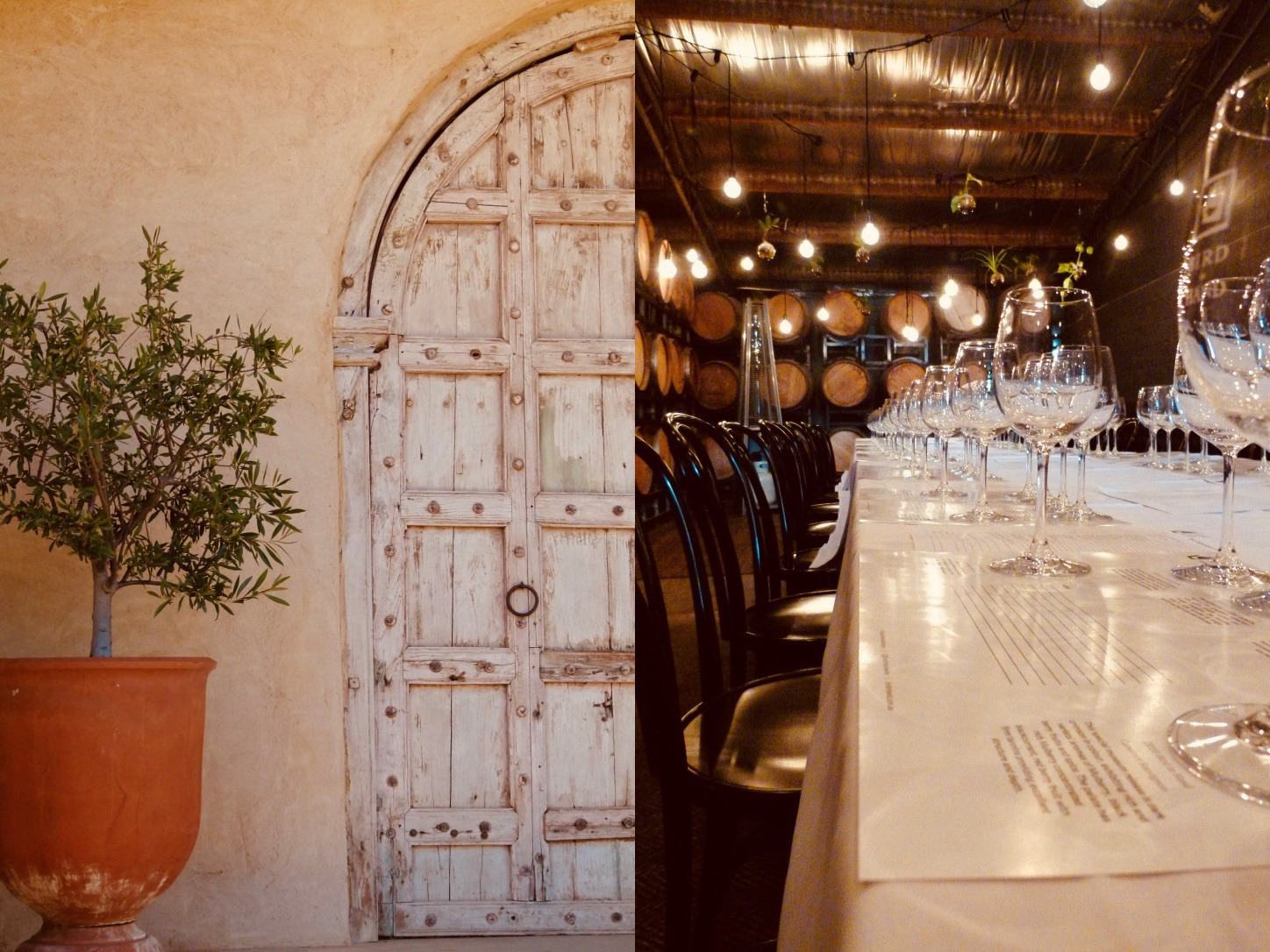 Annalise 11 and 12.jpg