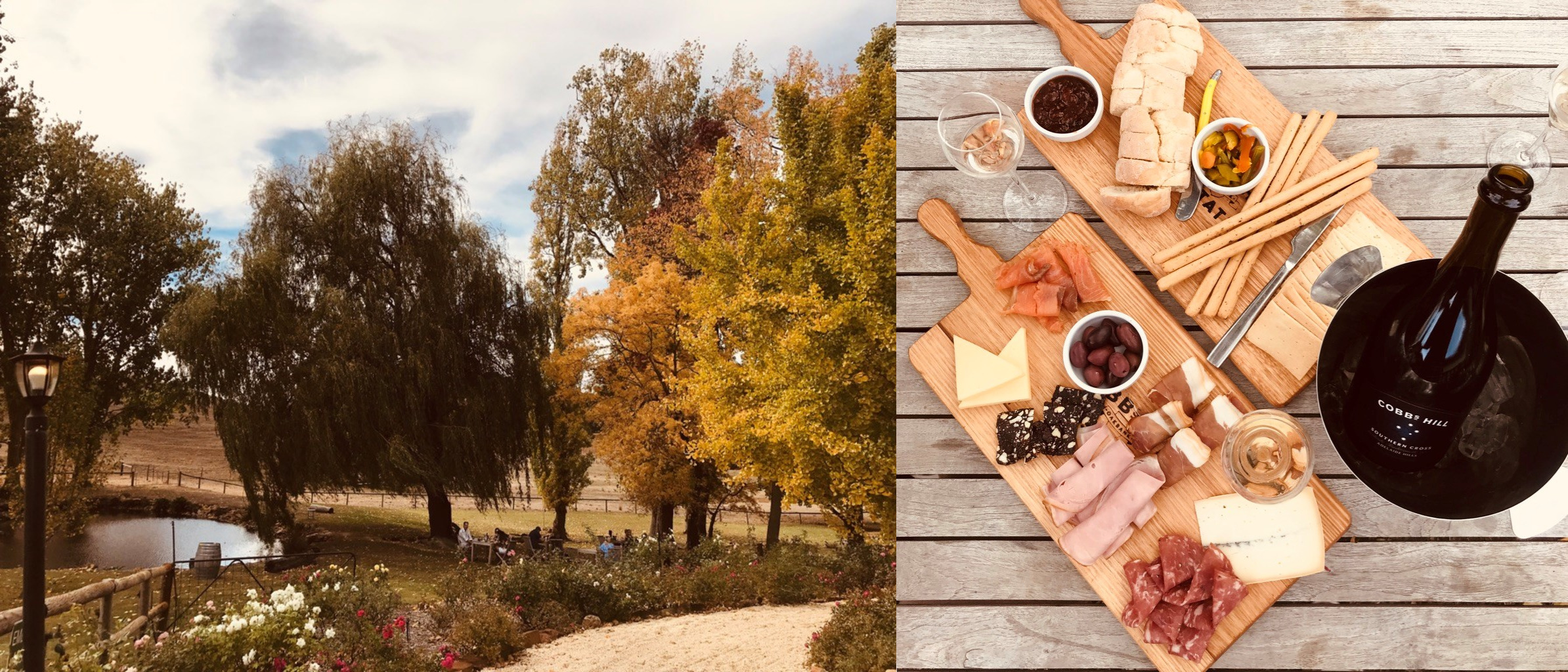 Annalise 7 and 8.jpg