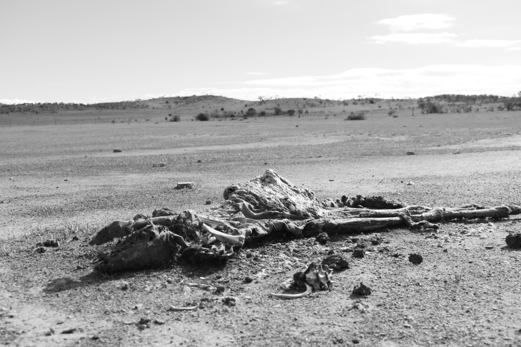 High and dry: A look inside South Australia’s drought&nbsp;woes