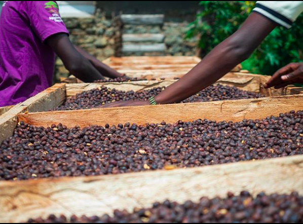 Intersection Traders’ new model of ethical trading comes at a price