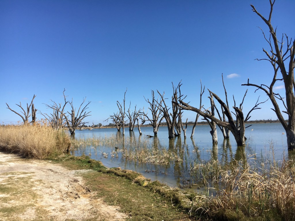 The hidden freshwater playground in South Australia’s backyard