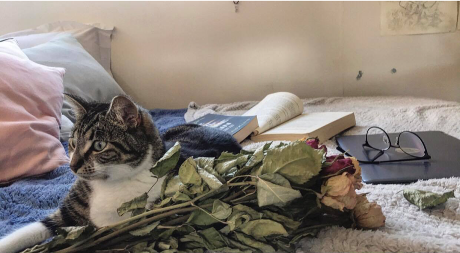 7 ways to rest and de-stress