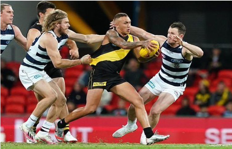 Battle of the felines: Cats to take on the Kings of the Jungle this weekend in the AFL Grand&nbsp;Final
