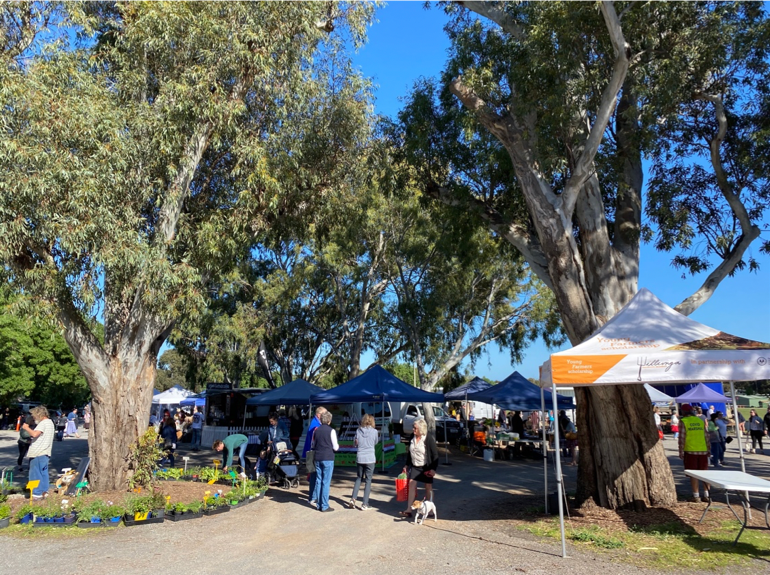 Seeing the vines of the Willunga Farmers Market