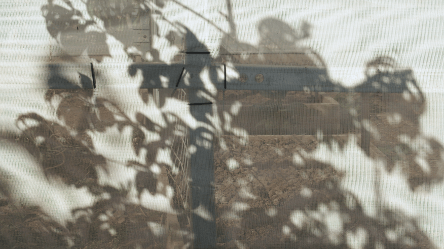 What’s on in June: the “if a fake horse on the internet can do it, so can we” edition