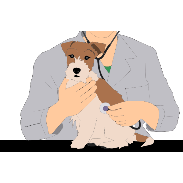 Swamped with sick animals as vet care affordability drops: animal shelters’ pleas for government assistance go unanswered