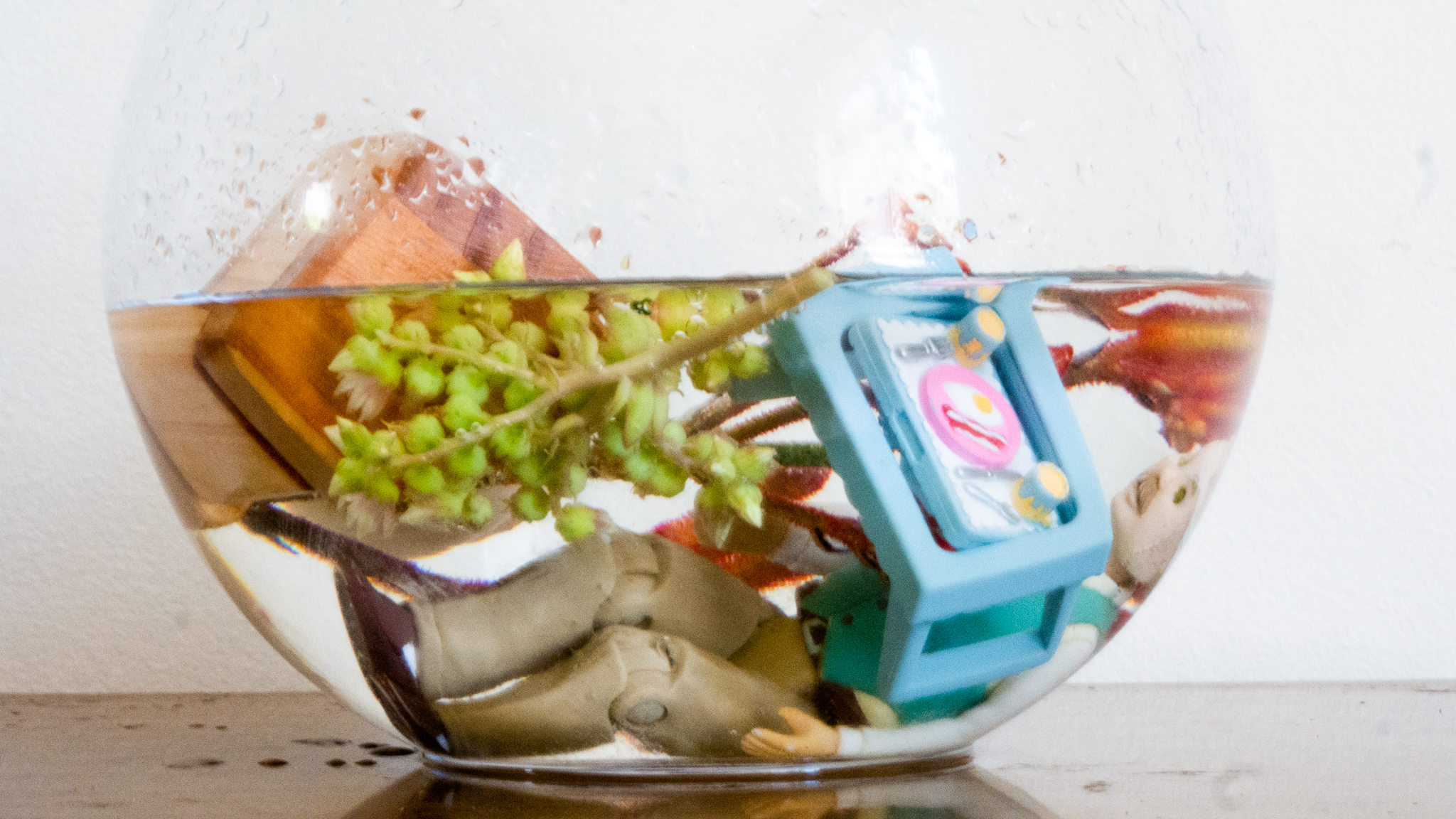 The Fish Bowl: an immersive and profound exploration of dementia