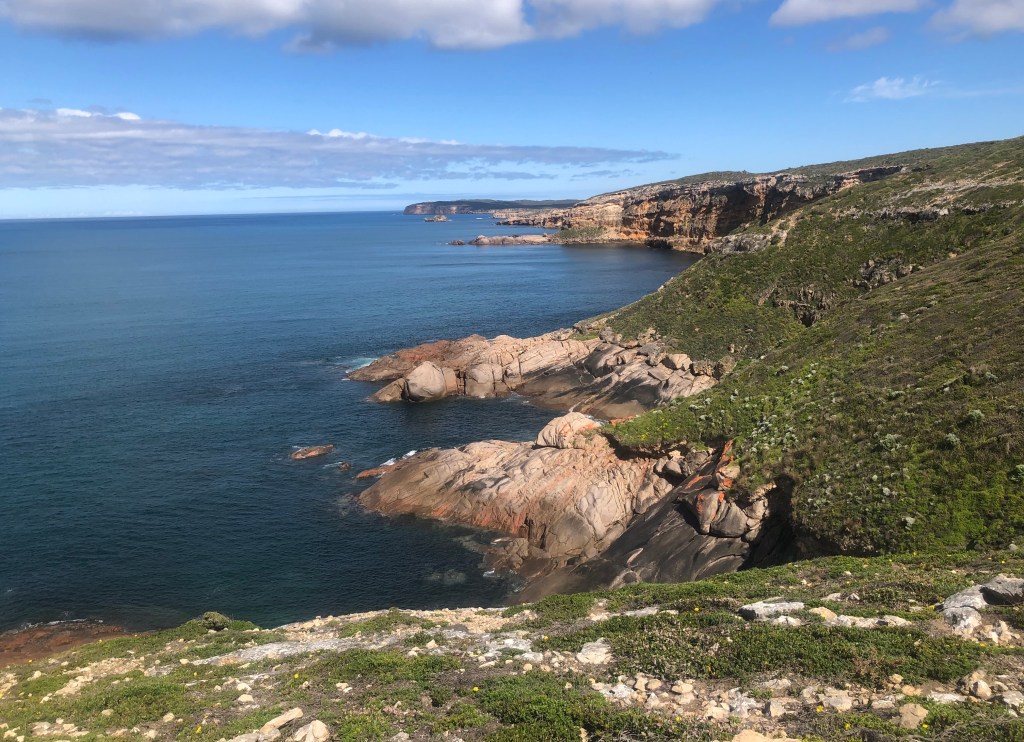 Dhilba Guuranda Innes National Park: how the Marna Bangarra project is bringing the Yorke Peninsula back to&nbsp;life