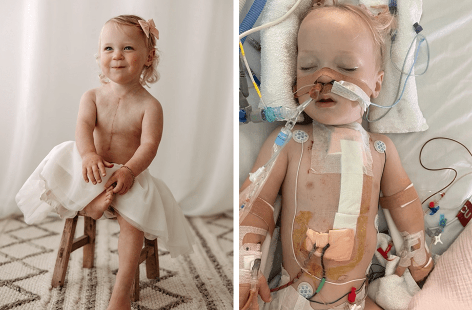 Will South Australian children get a lifesaving paediatric cardiac surgery unit in&nbsp;Adelaide?