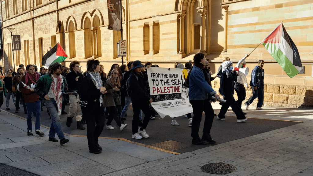 “When’s the last time you heard about fireworks being dropped on people in Adelaide?” — pro-Palestinian protestors say drones were&nbsp;involved