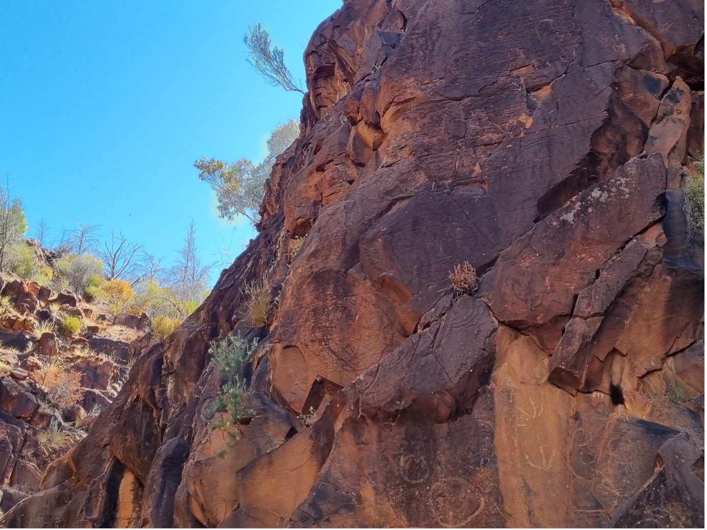 Yura Mulka: a sacred canyon and the world’s oldest menu