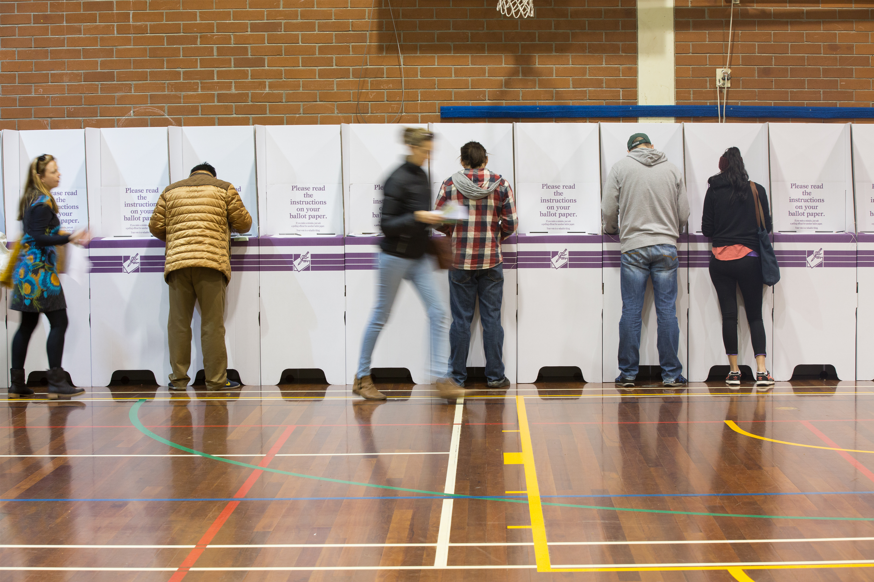 “Tweedledumb, Tweedledumber”: why are people voting for alternative voices?