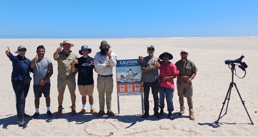 It takes a village to raise a bird — and a single set of tyre tracks to kill&nbsp;one