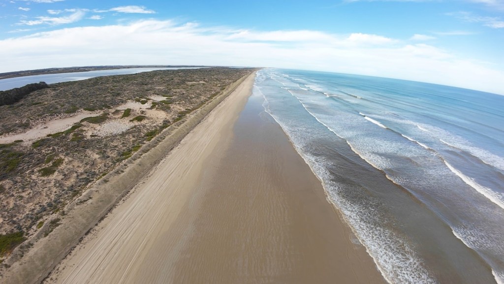 More than tyre tracks: the hidden environmental cost of driving on Goolwa&nbsp;Beach