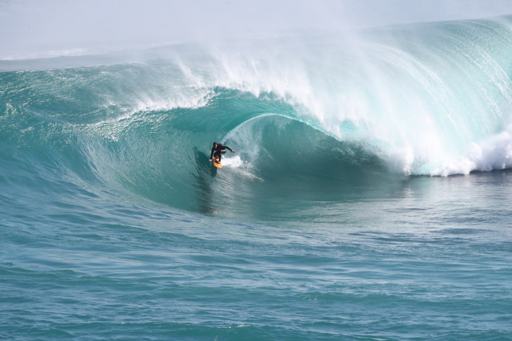 Should South Australia adopt Western Australia’s Shark Deterrent&nbsp;Rebate?