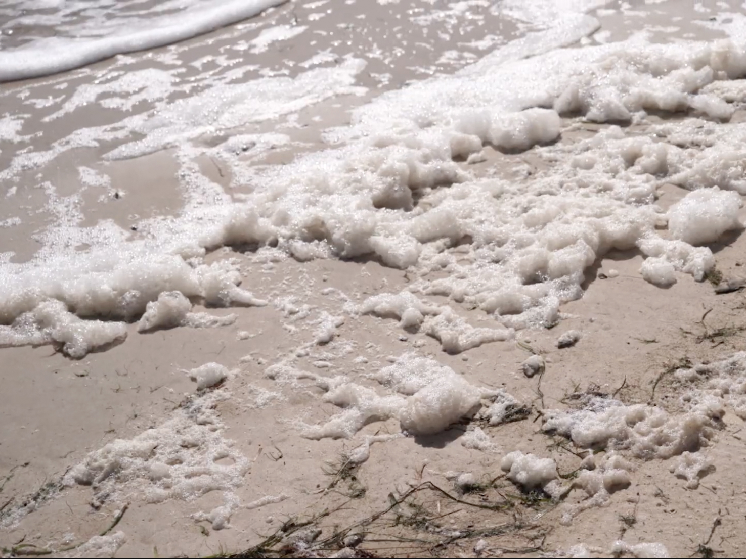 “Fishing in a barrel of nuclear waste”: the complicated media portrayal of SA’s algal bloom