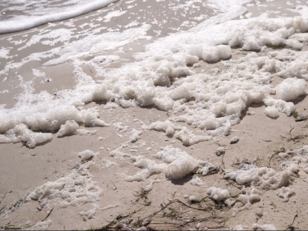 “Fishing in a barrel of nuclear waste”: the complicated media portrayal of SA’s algal&nbsp;bloom